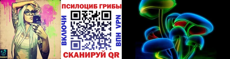 Галлюциногенные грибы Cubensis ссылка на мегу зеркало Бабаево